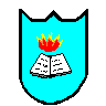 [Divine Enlightenment (Holy Book) Shield]
